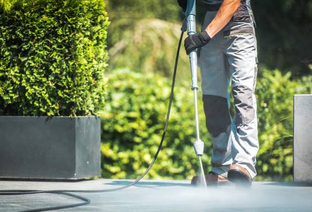 Best Gutter Cleaning and Brightening in Gananda, NY