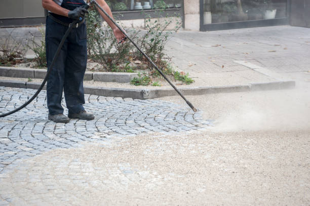 Best Fence Cleaning and Maintenance in Gananda, NY