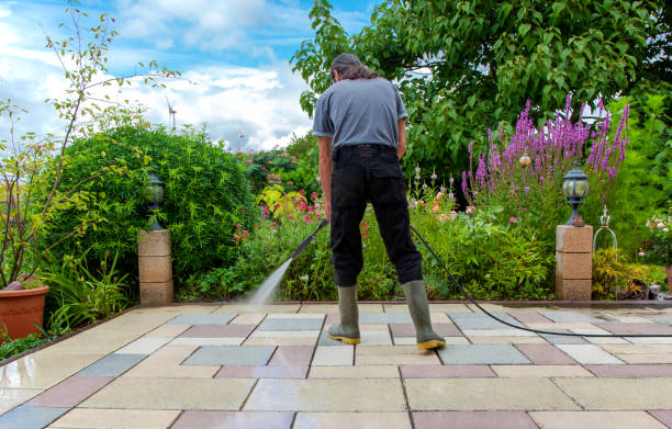 Best Roof Cleaning and Mildew Removal in Gananda, NY